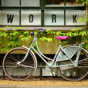 Bicicleta Blanca