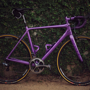 Bicleta Púrpura